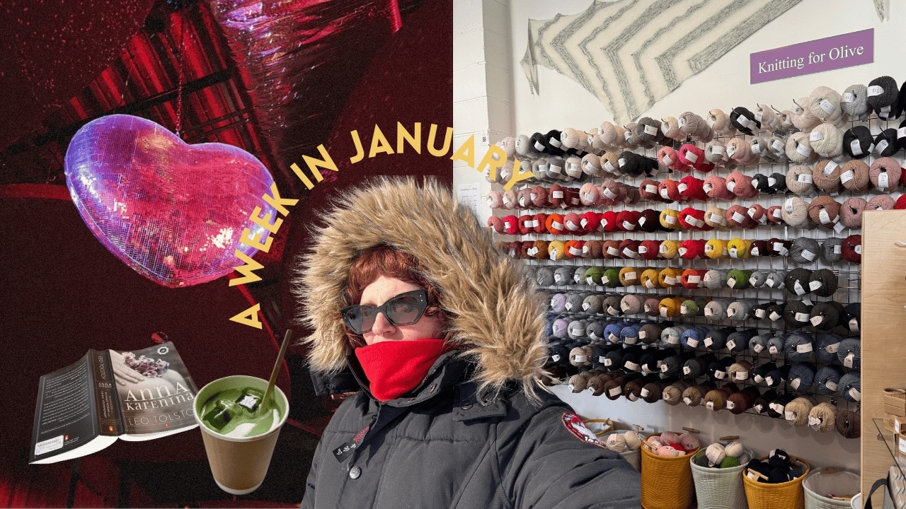 a week in january | talking about books, knitting, and a comedy show