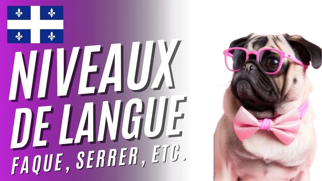 NIVEAUX DE LANGUE : FAQUE, SERRER, ETC. - Intermediate Quebec French with Subtitles | Frenchpresso