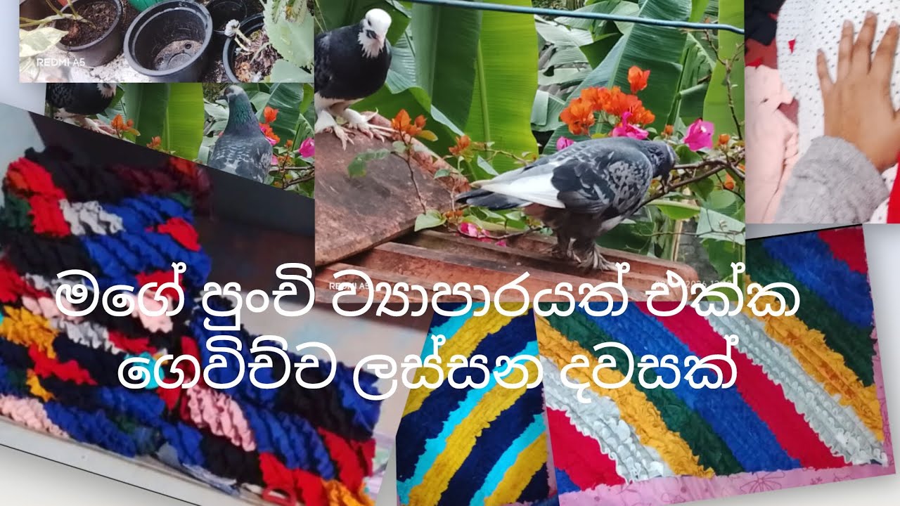 🍃🕊️ගෙදර වැඩ කරන ගමන් මගේ පුංචි ව්‍යාපාරයත් එක්ක 🏡😍 #sri Lanka  #smollbusiness # sami smile life 