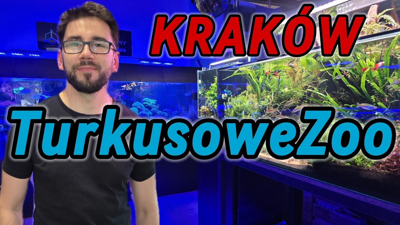 Turkusowe Zoo - sklep akwarystyczny Krak&oacute;w