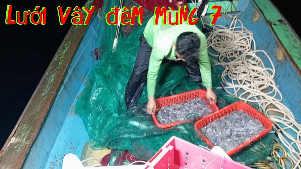 Lưới vây mực luân 87.đêm mùng 7
