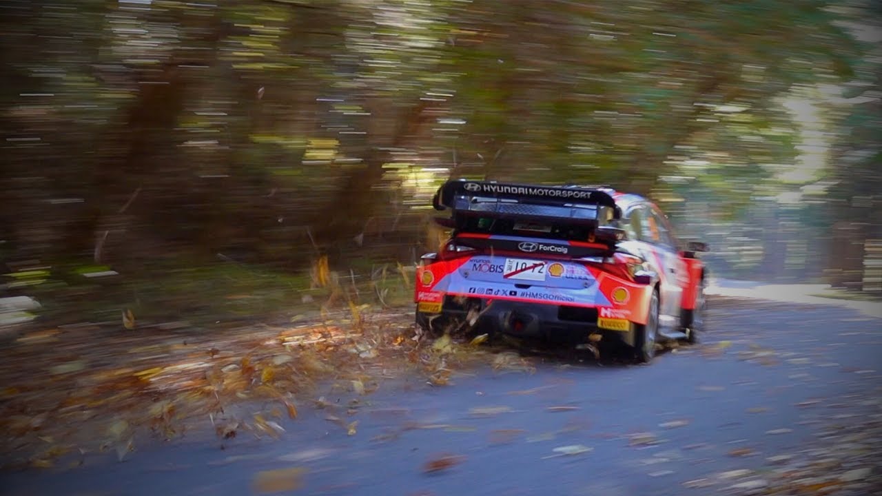WRC Rally Japan 2024 l WRC ラリー・ジャパン 2024 | Best-Of FLAT OUT & ACTION