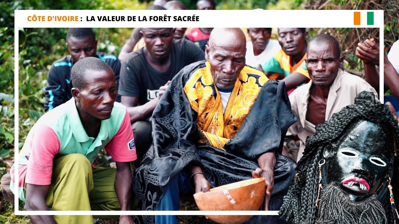 🇨🇮 Côte d'Ivoire: La forêt sacrée en danger 🌳