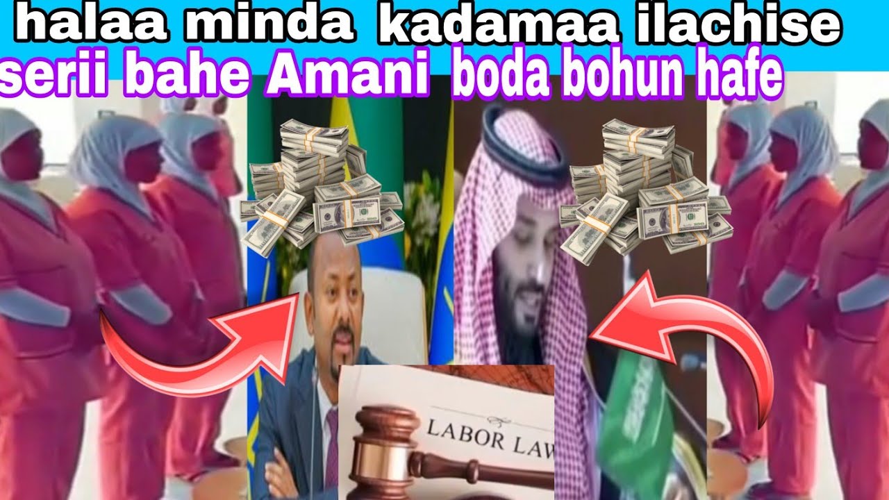 #mindaa kadamaa#madamiin yoo seraan hin kafalee adabii cimaa seraa harawaa bahee bayee ulfataa