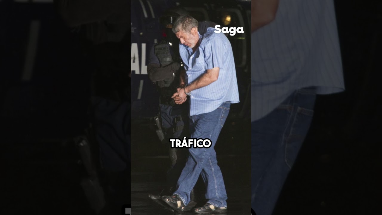 Los CAPOS m&aacute;s temidos del NARCO | MLDA