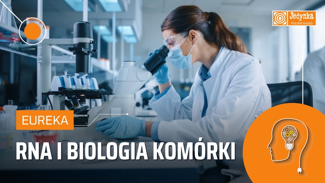 RNA i biologia kom&oacute;rki. Od badań podstawowych do terapii | EUREKA