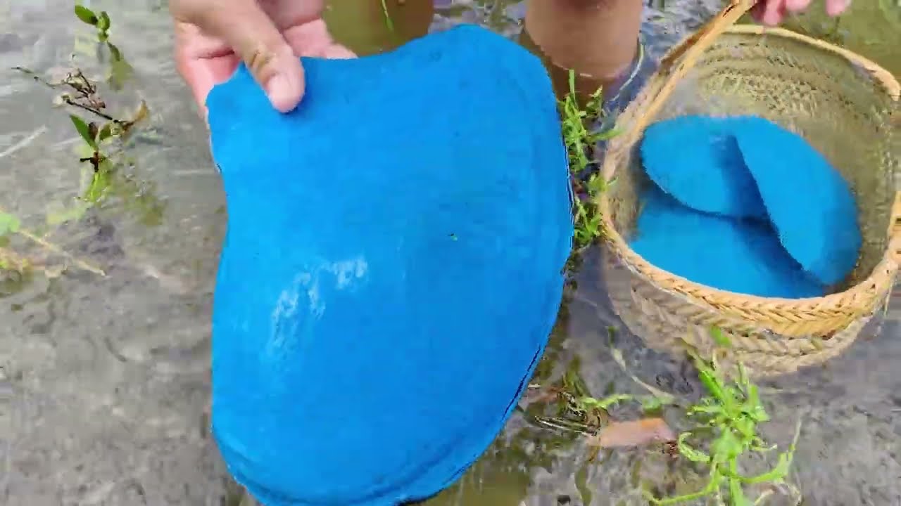 Giant blue clams grow in the deep pool, nurturing countless precious and charming blue pearls inside
