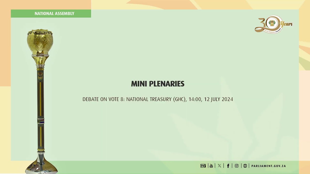MINI PLENARIES Debate on Vote 8: National Treasury (GHC), 12 July 2024