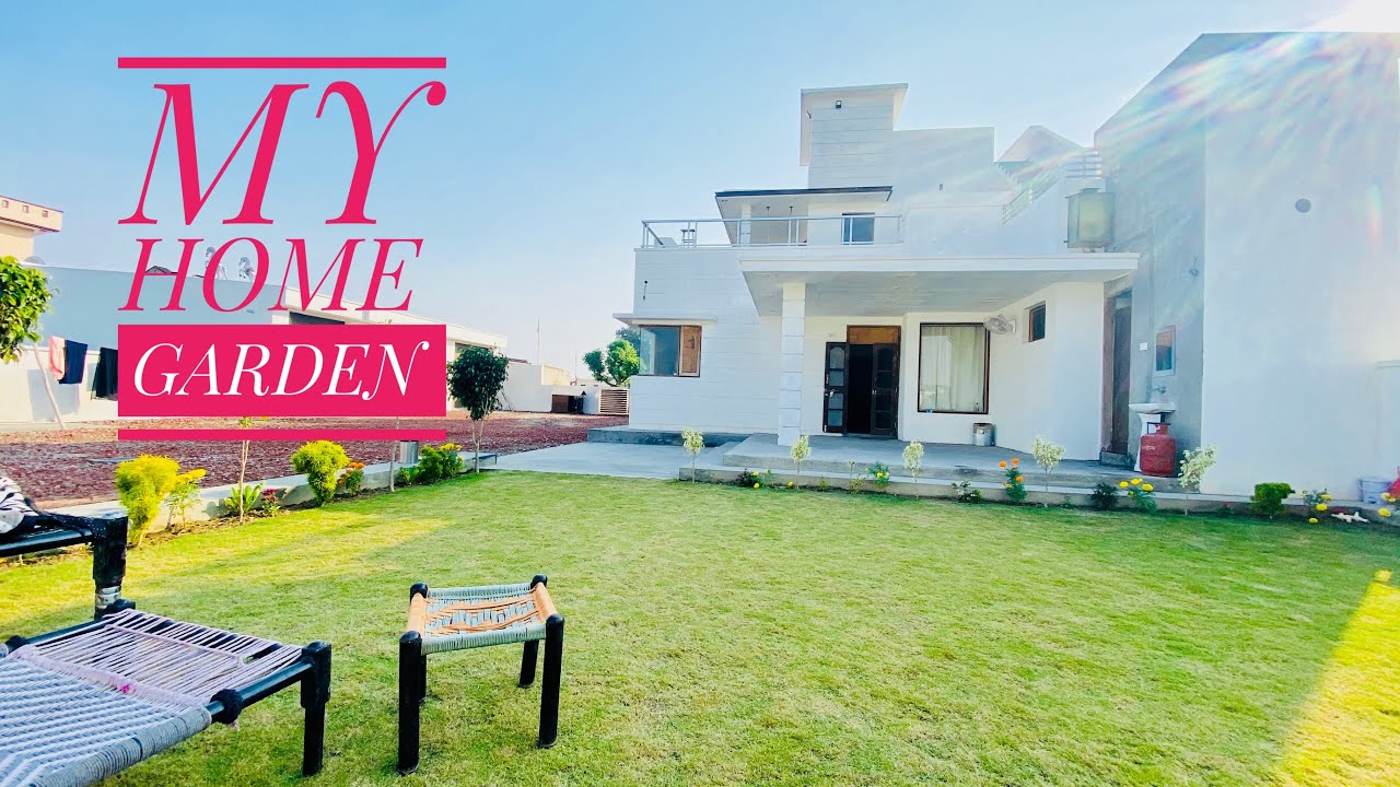 My home lawn | korean grass lawn maintenance |