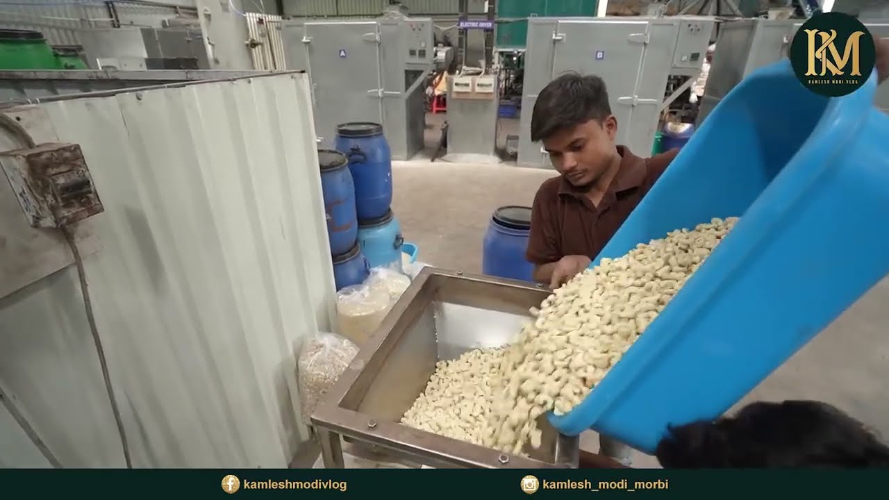 Inside Surat’s Biggest Cashew Processing Factory | Primera Kaju Factory