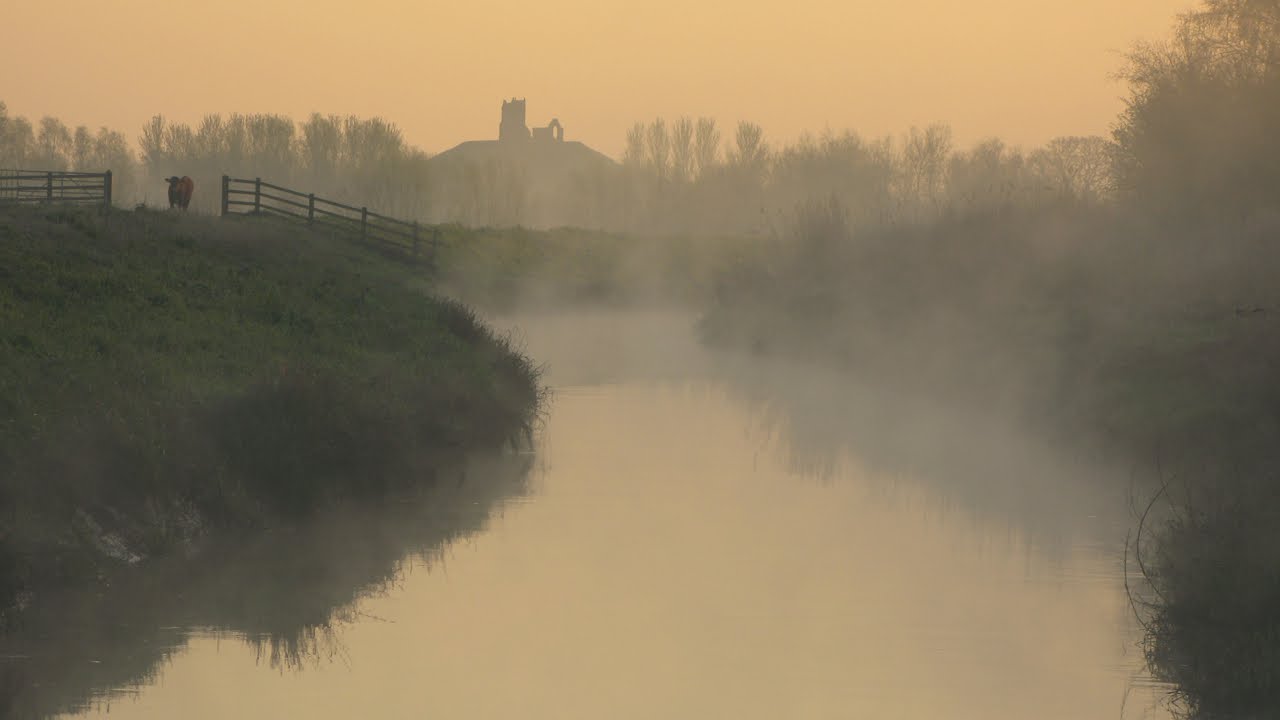 The Somerset Levels & Moors