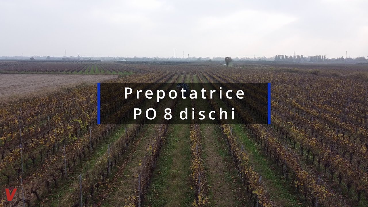 Prepotatrice PO 8 dischi per Guyot - Drypruner PO 8 dischi for Guyot