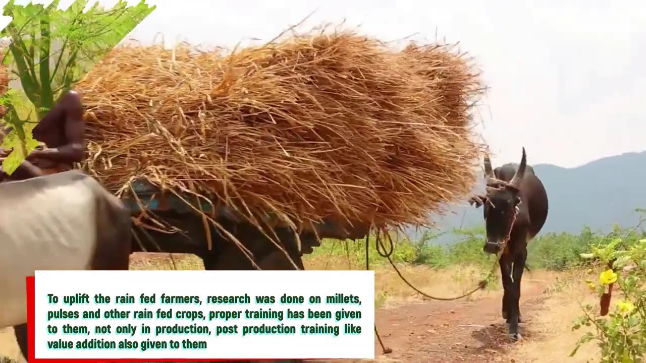 Vanagam: Founded by Green Revolutionist G. Nammalvar, a haven for sustainable living and agriculture