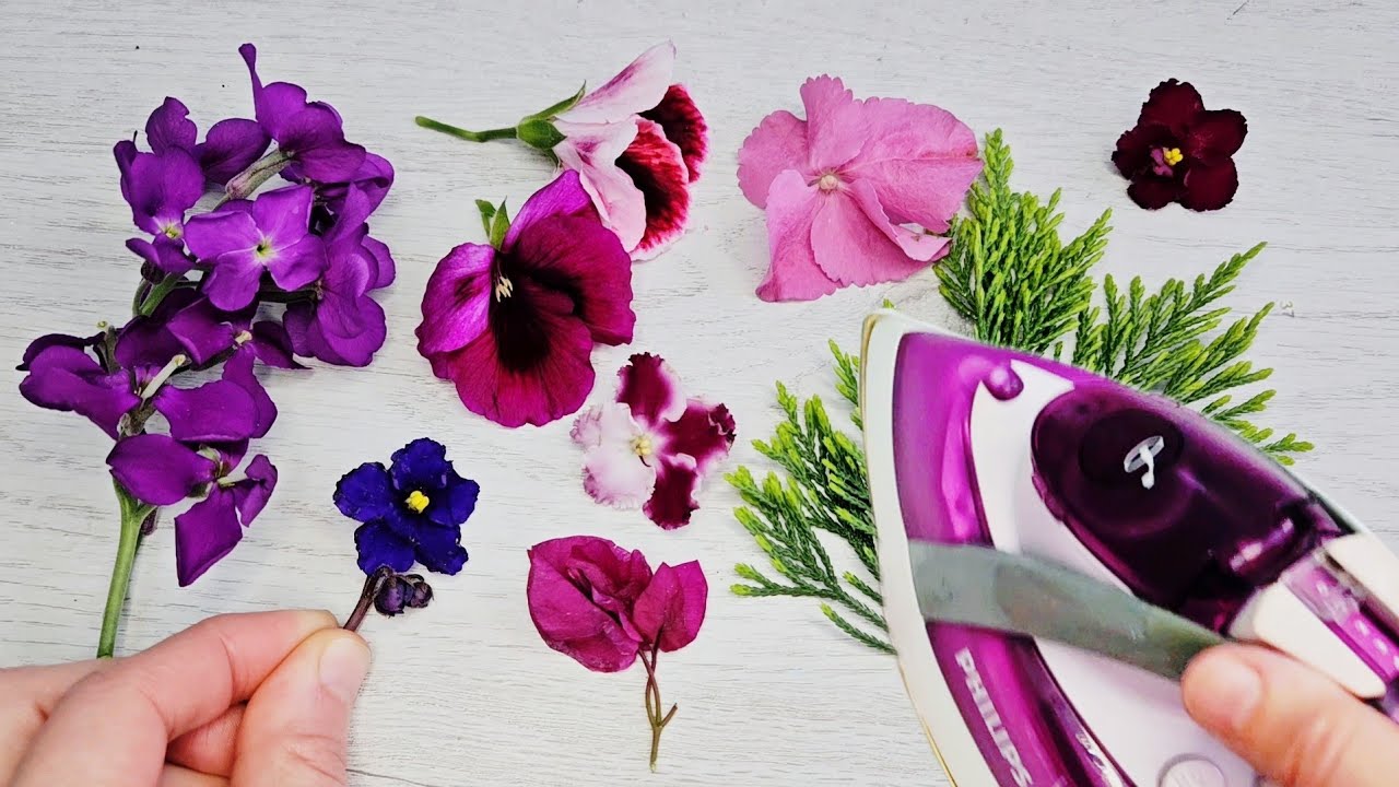 🌼 Look what I made from these colorful flowers that will win your heart! 😍