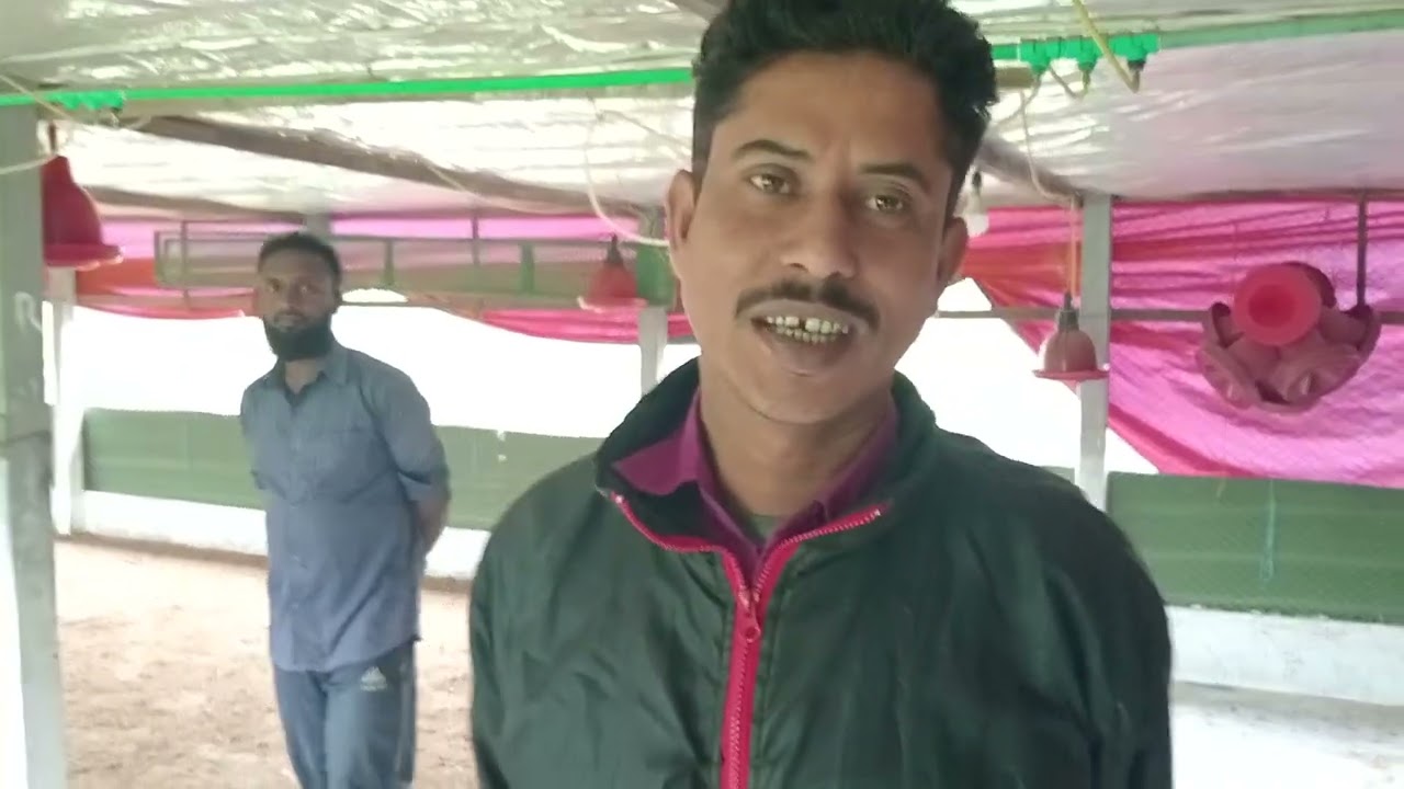 কন্ট্রোল সেট করে আমরা মুরগির খামারের মৃতোরহার   কিভাবে শূন্যতে নিয়ে আসতে পারি গুরুত্বপূর্ণ আলোচনা।