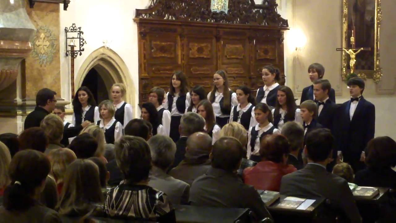 02(12) Jan Campanus Vodňanský - RORANDO COELI