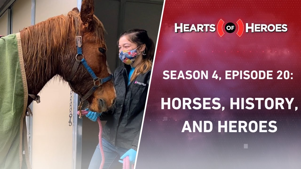 Season 4, Episode 20: Horses, History, and Heroes