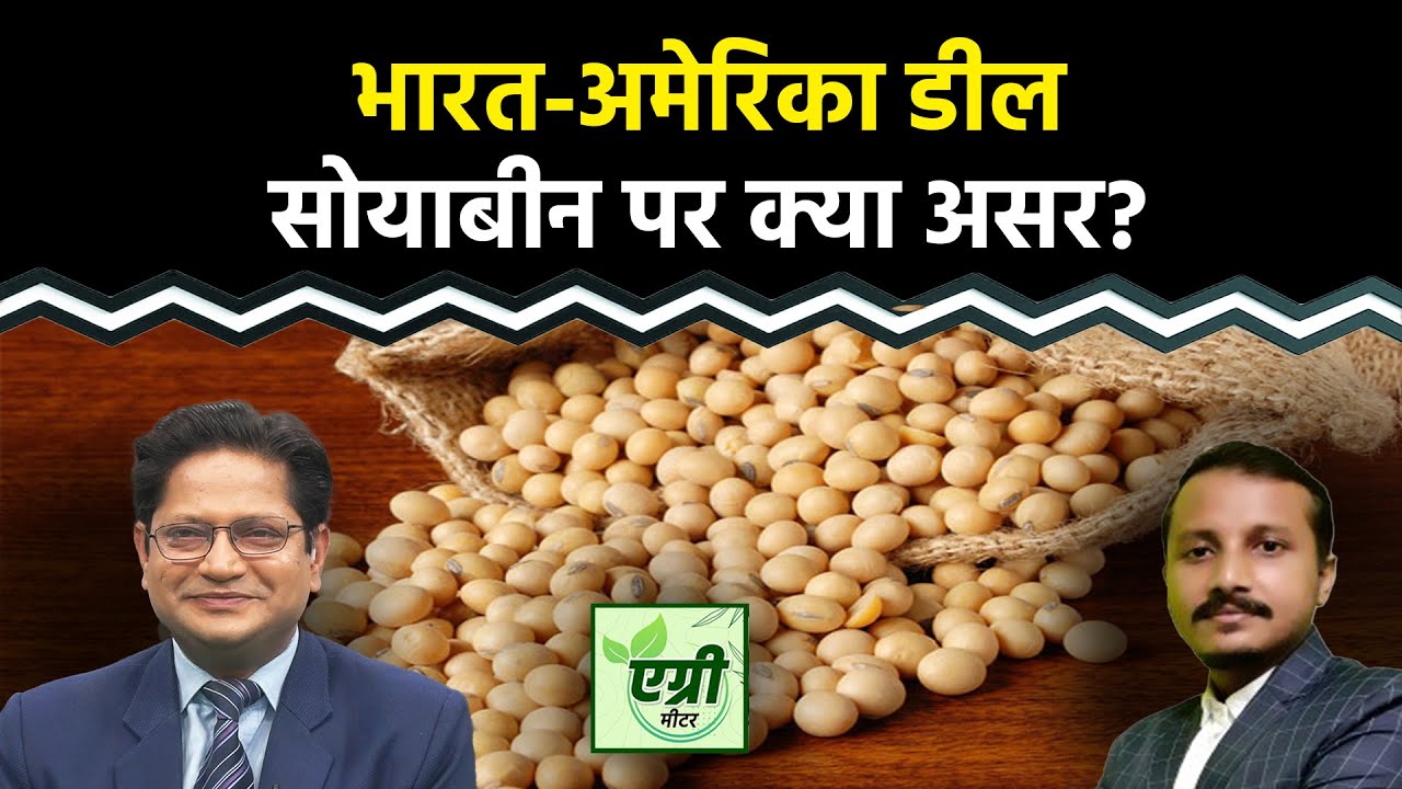Agri Commodity : India US Trade Deal का भारतीय सोयाबीन की कीमतों पर क्या होगा असर?