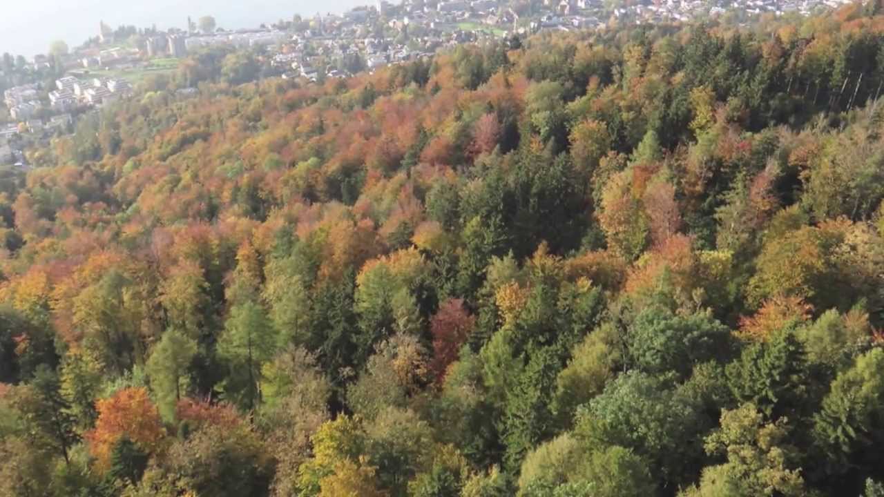 Gleitschirmflug vom Zugerberg, 19.10.2013