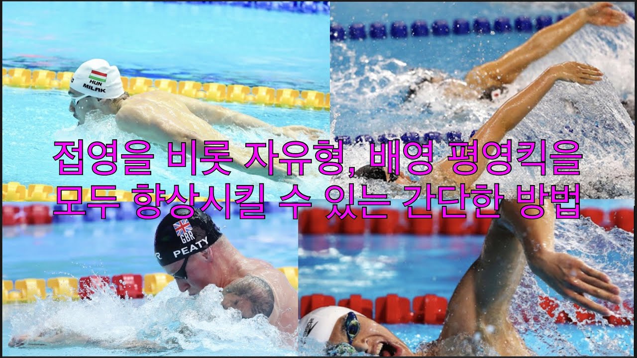 접영 킥을 비롯한 각종목 킥을 향상시키기 위한 간단한 연습법