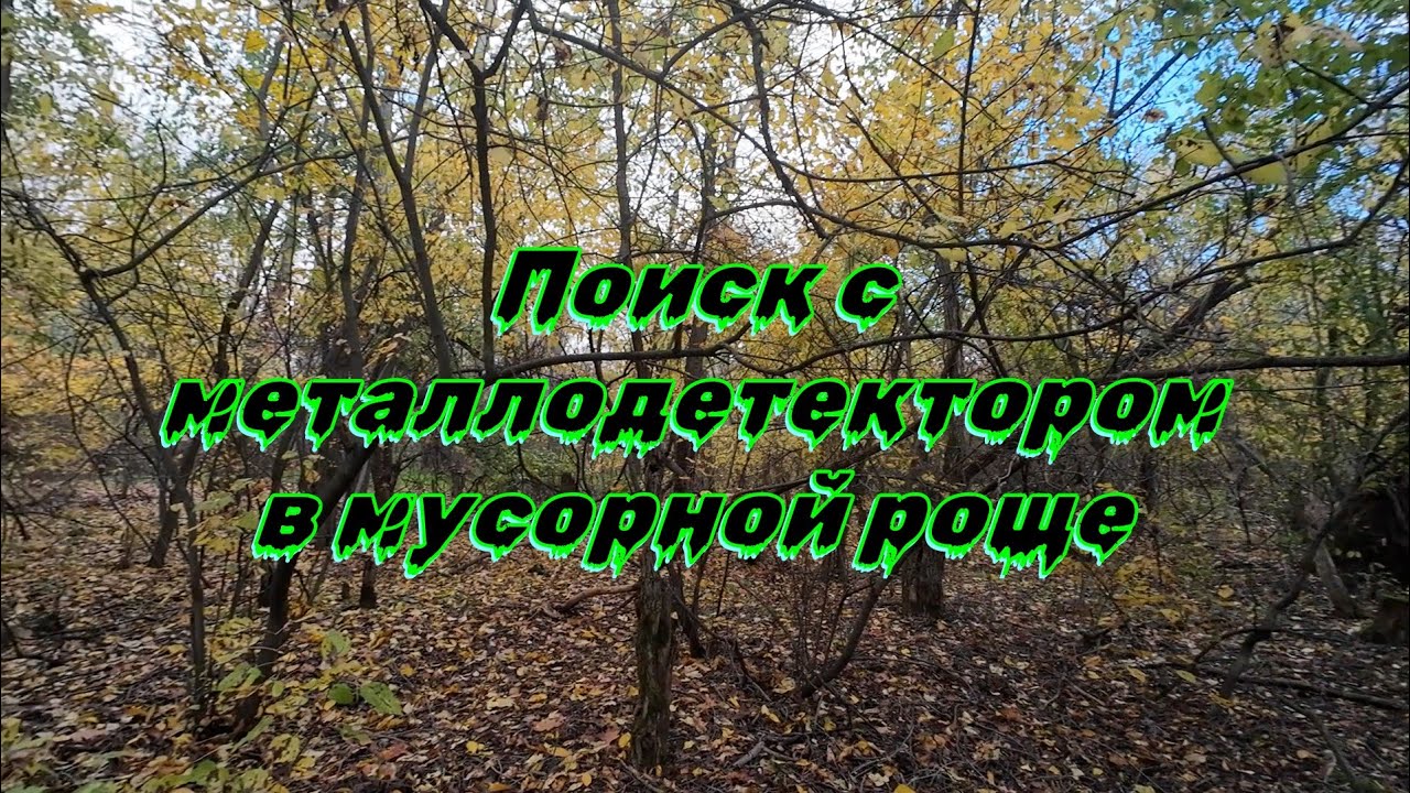 Находки в мусорной роще.