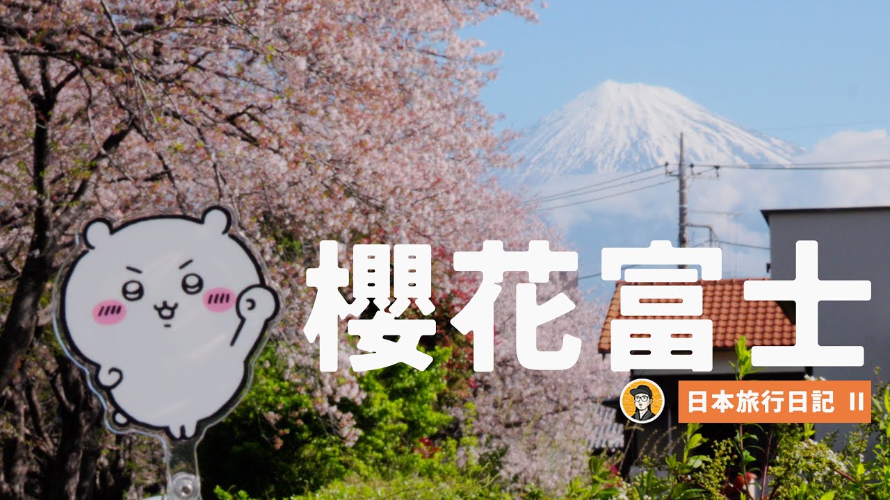 在樱花季去看富士山的vlog｜樱花富士山｜龙岩渊｜山中湖｜餺飥｜樱花富士｜沼津｜居酒屋