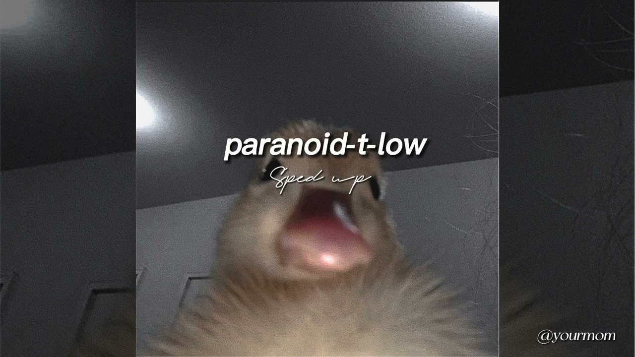 Paranoid t-low (speed up) 🧬