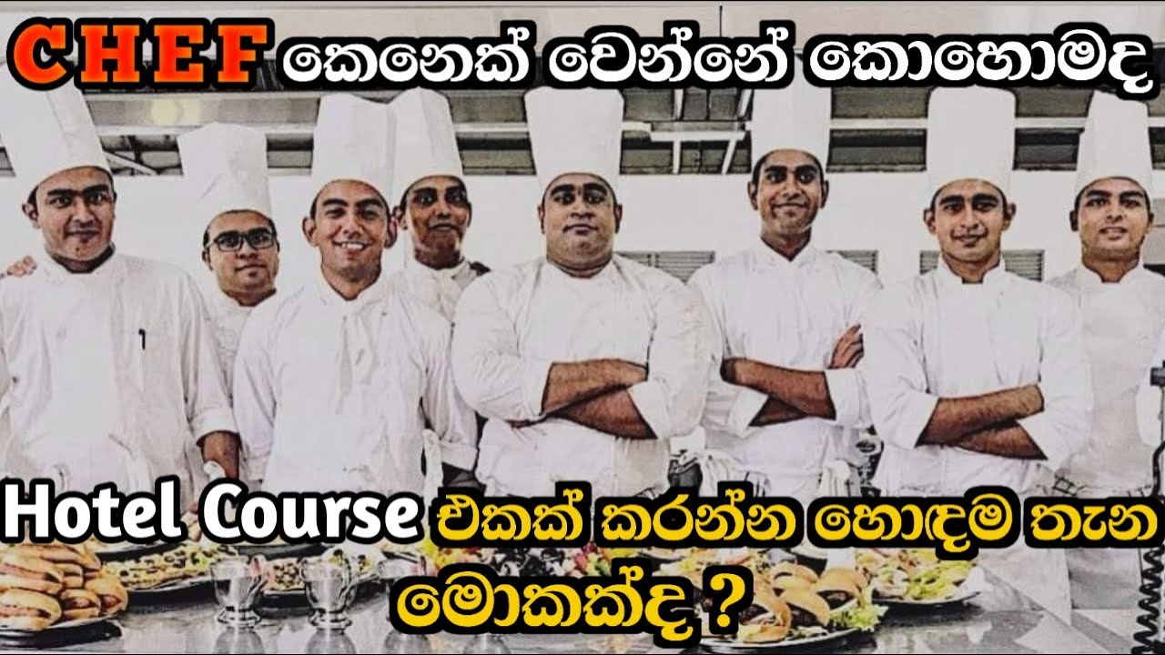 Hotel Course එකක් කරන්න කලින් අනිවාරෙන් බ්ලන්න | How to become a CHEF | Chef Thadi's Vlogs​