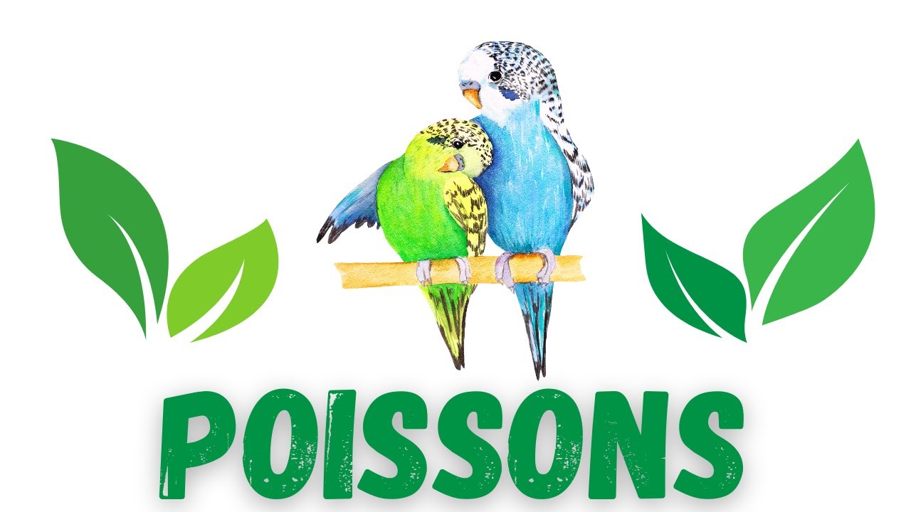 POISSONS Quelqu'un est sur le point de ressentir la force du divin ! Vous devez connaître ce POISSON