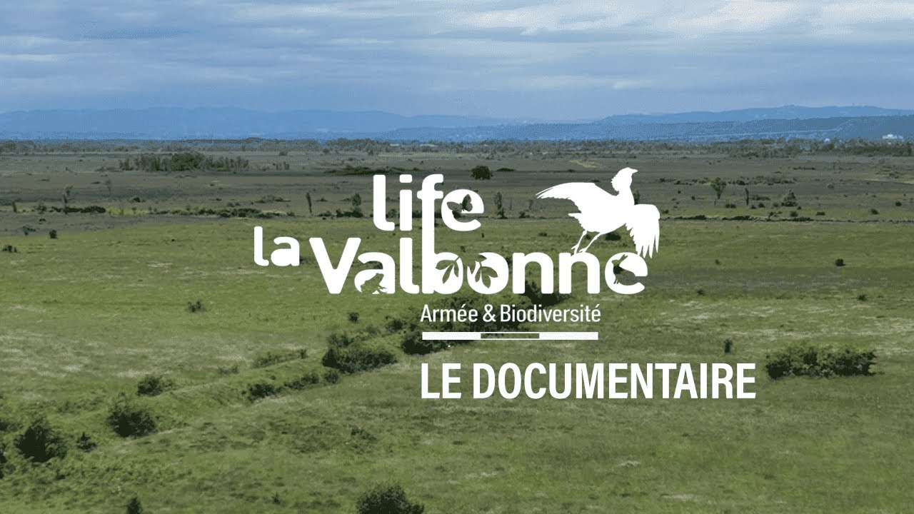Armée et biodiversité : le projet LIFE sur le camp militaire de la Valbonne (version longue)