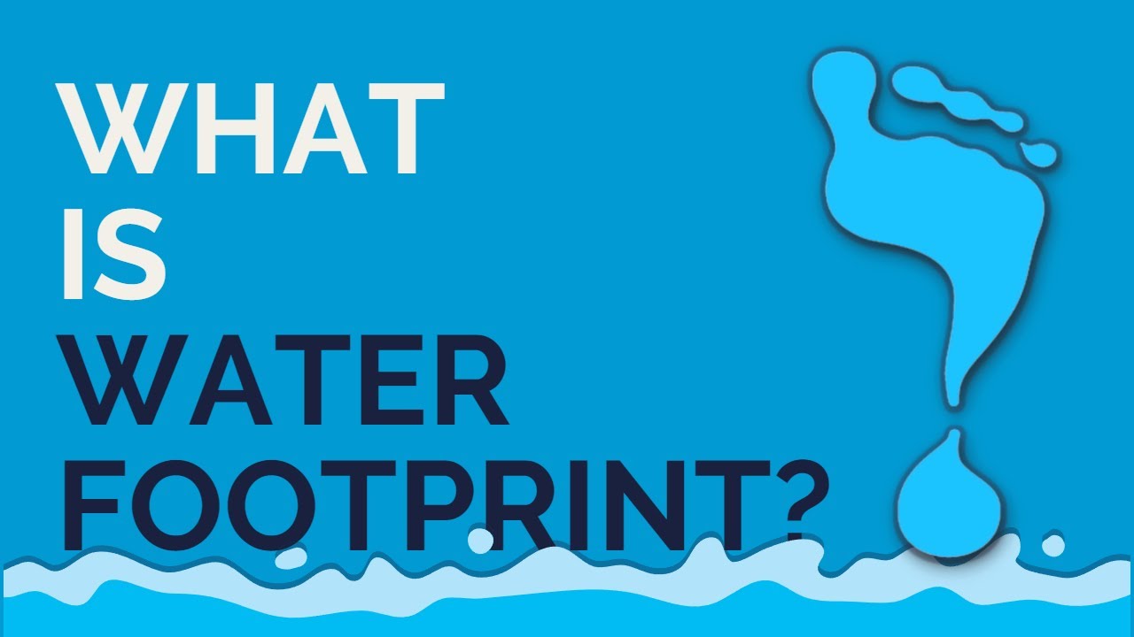 What is a Water Footprint?
