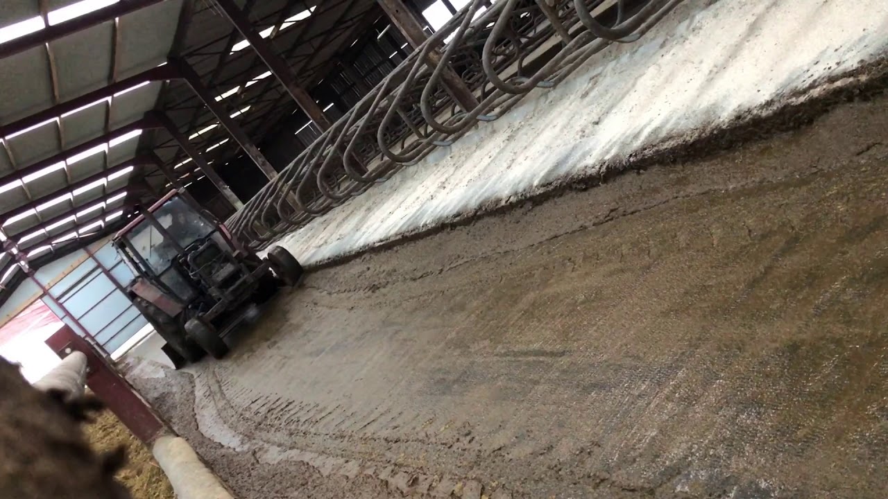 Springtime Madness at Killen Bros! 🚜💨💨💨💨