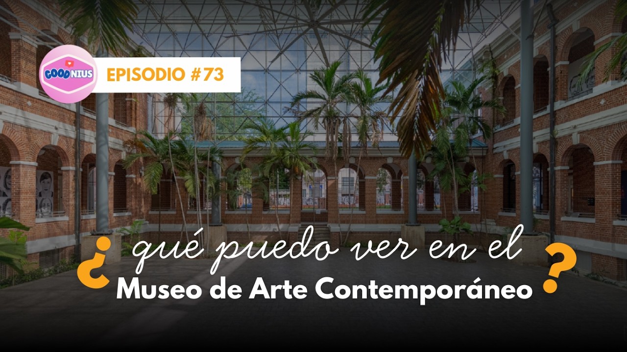 El Museo de Arte Contemporáneo y su impacto en la Isl