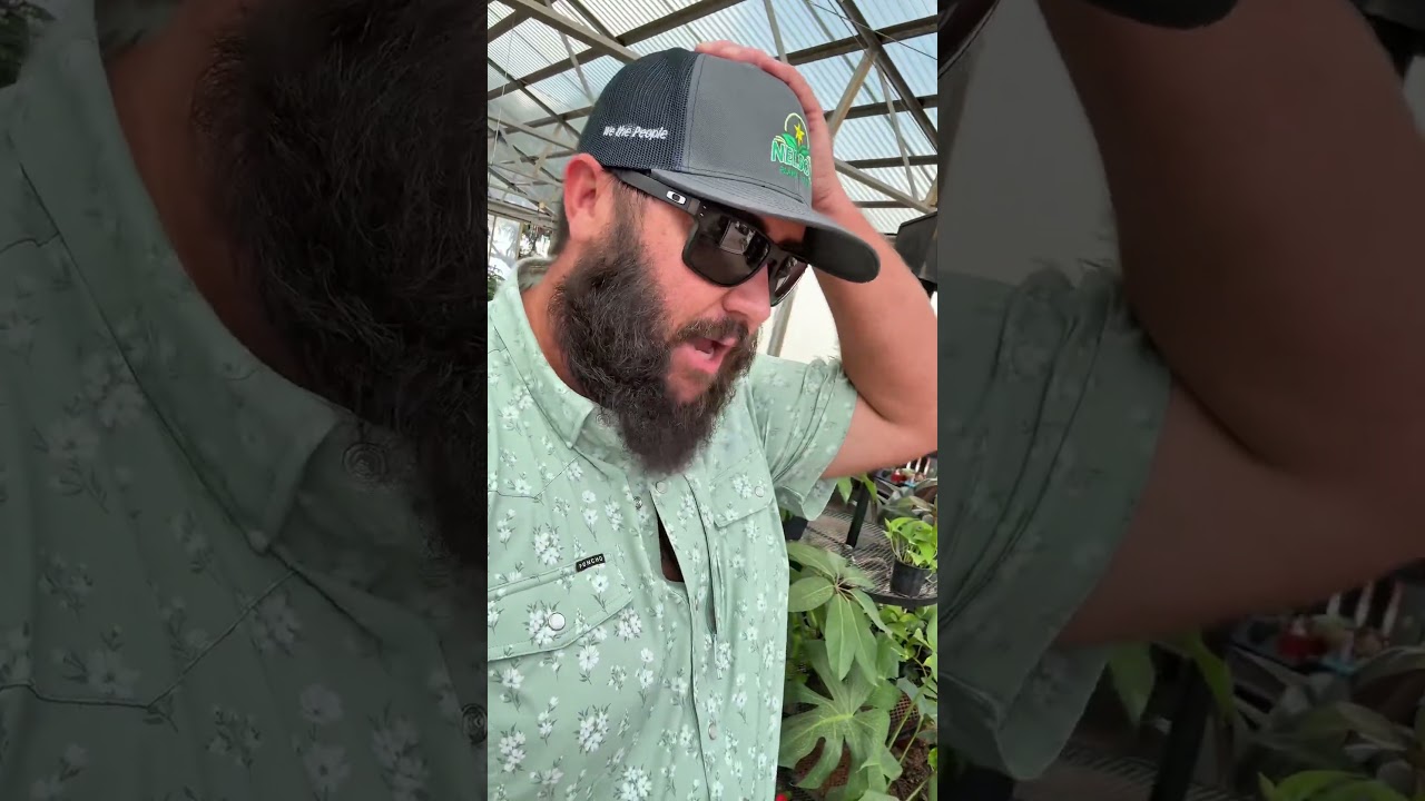 This is GENIUS! The Whole Greenhouse is Made Out of Sliding Glass Doors @King Feed and Hardware