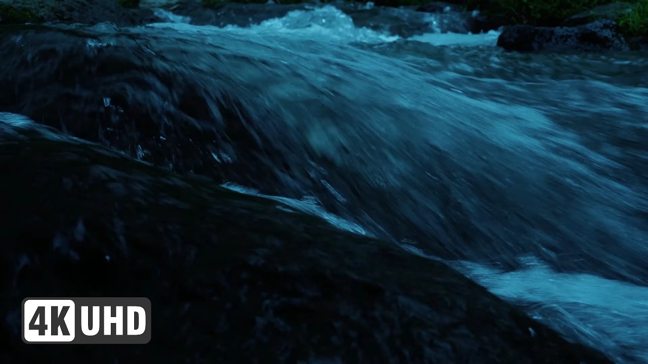 Gentle River Stream Sounds for Deep Sleep & Anxiety Relief | Nature ASMR (3 Hours) 🌊✨