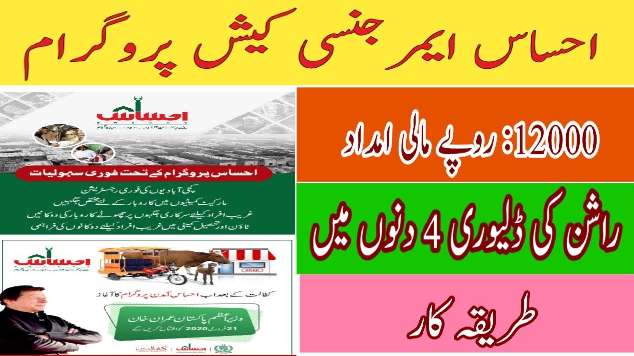 Insaf Imdad online Registration | How to Register Insaaf Imdad | CM Punjab Insaf Imdad Program 2020
