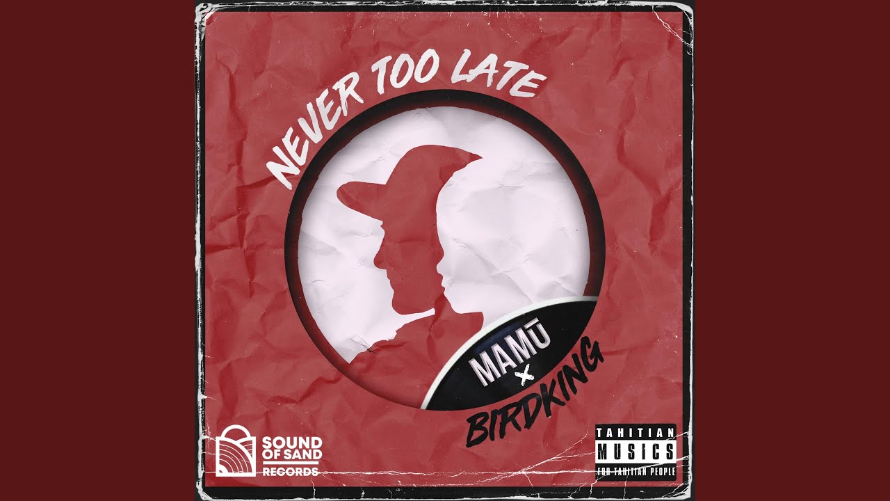 Never too late (feat. Birdking)