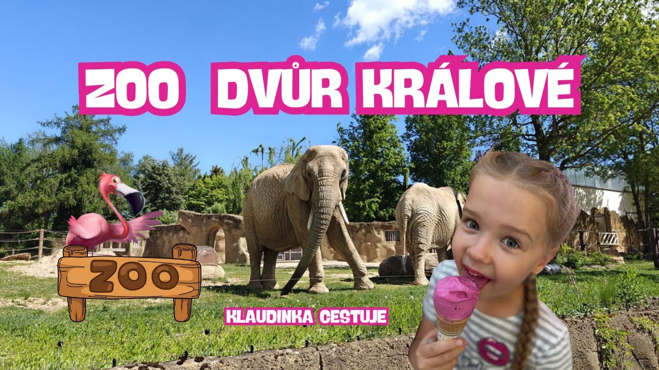 Klaudinka cestuje – Výlet do ZOO Dvůr Králové 🐘🐒🦒