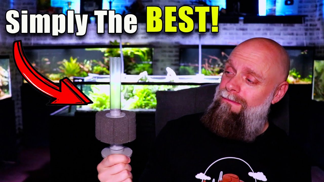 Simply The Best Sponge Filter! ATI Hydro Sponge Filter Review