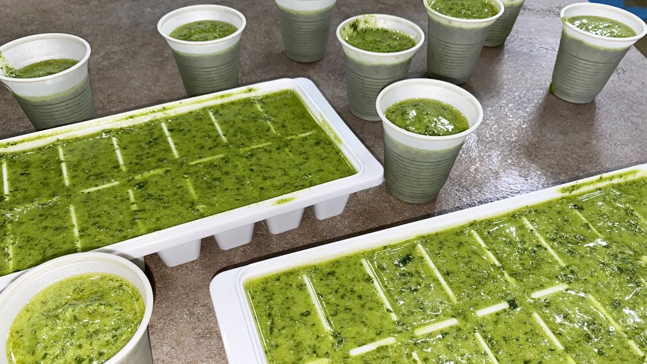 PESTO ALLA GENOVESE FATTO IN CASA SENZA MORTAIO