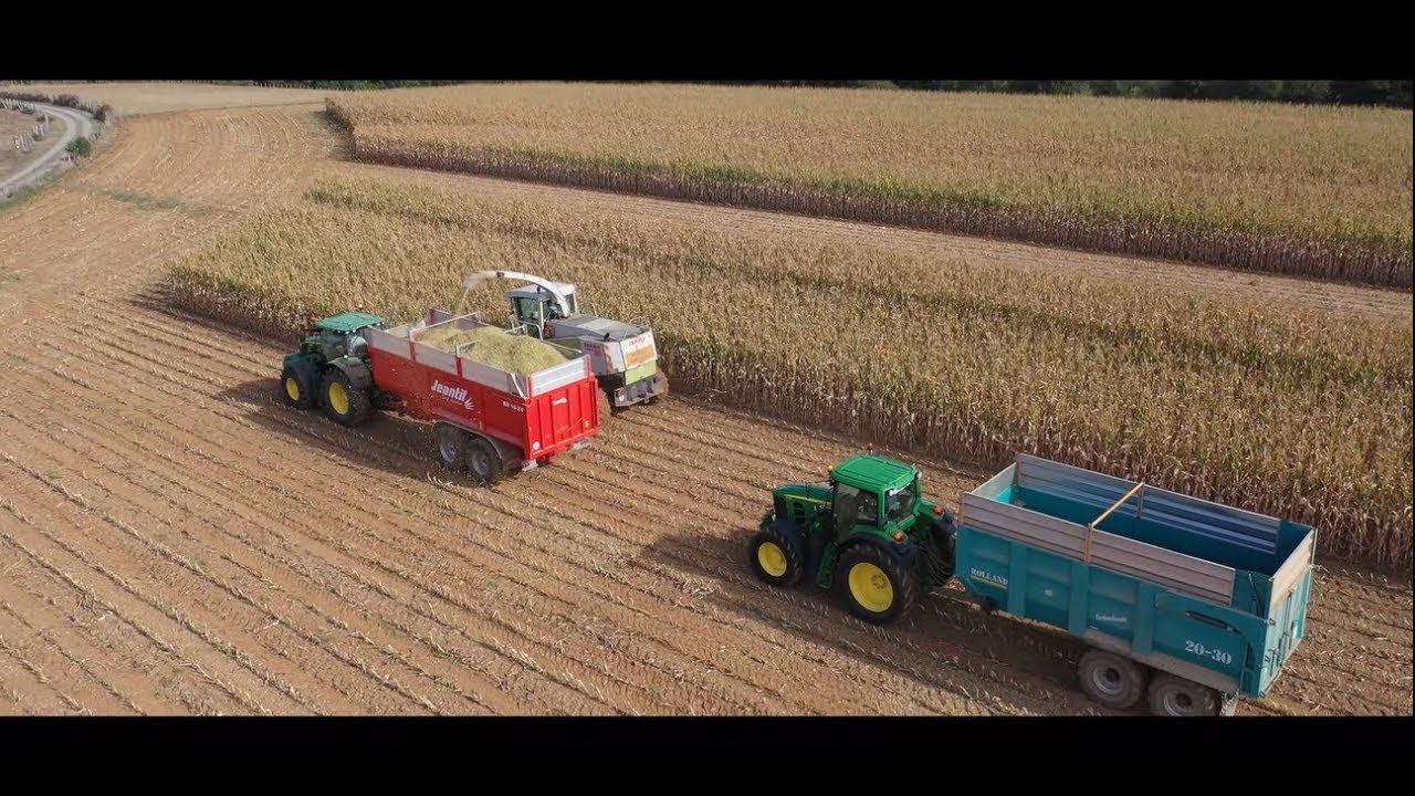 Ensilage de maïs irrigué 2019 /Claas jaguar 860 /Kemper champion 345