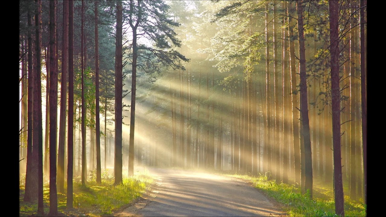 Klaus Schulze - Cellingua