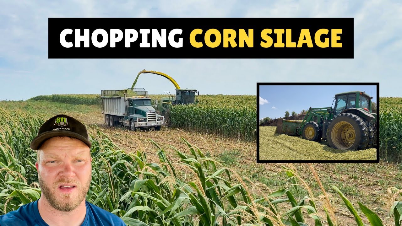 Corn Silage Harvest 2025 🌽 | Big Tractors, Choppers & Trucks in Action