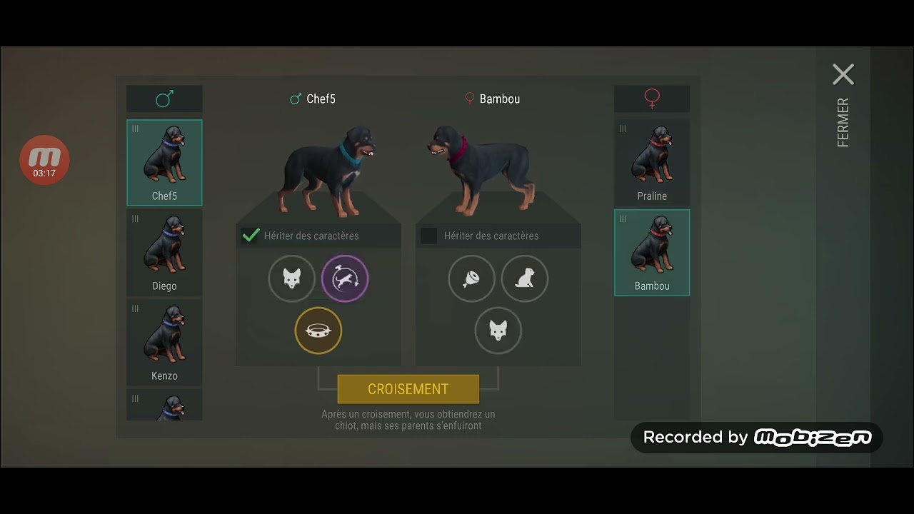 LDOE J'obtiens 2 chiens meilleur ami le même jour (maximiser ses chances pour le meilleur ami) 2/2