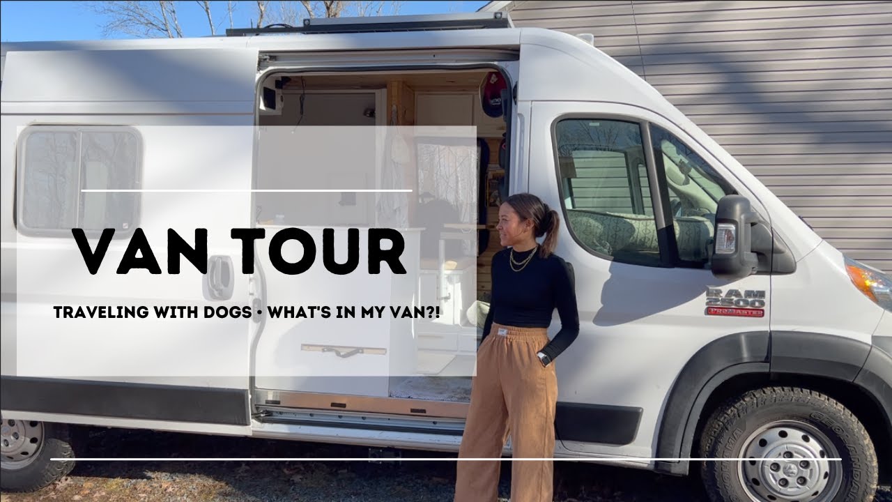 van tour: traveling with 3 dogs in a promaster conversion