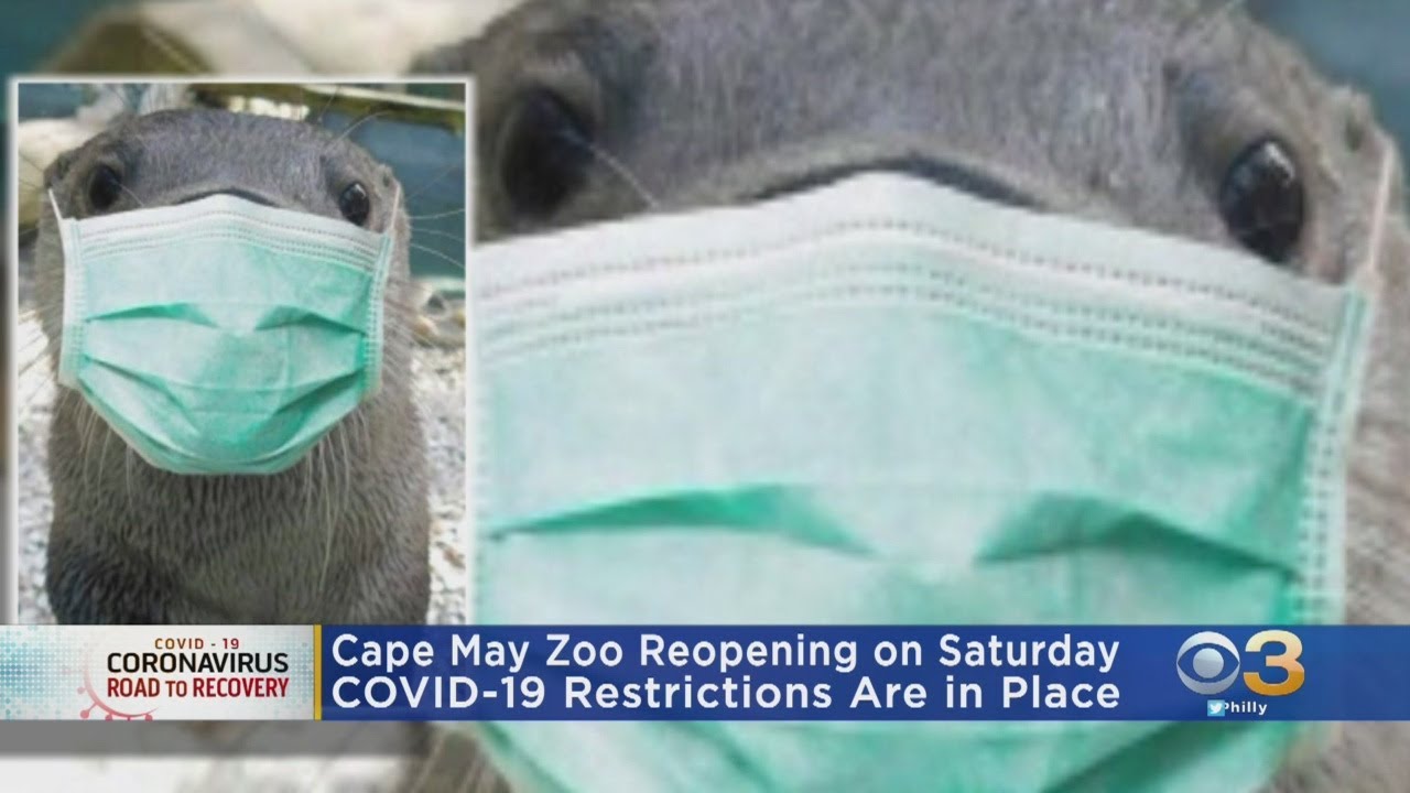 Cape May Zoo Reopening Saturday