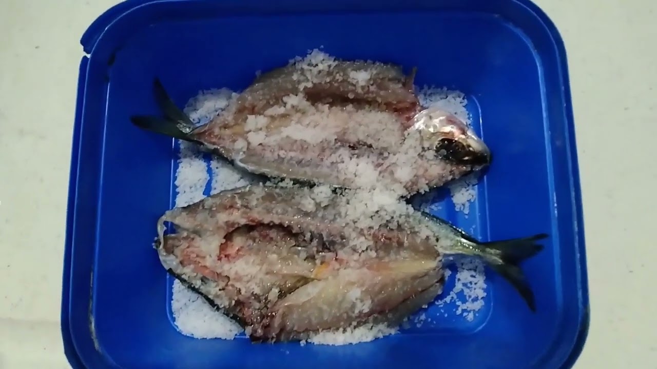 Fish Preservation ( salting and drying technique)