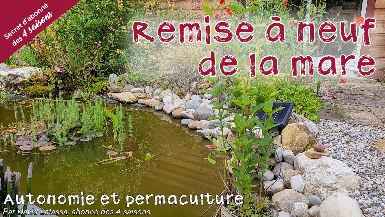 Entretenir sa mare - Autonomie et permaculture avec David