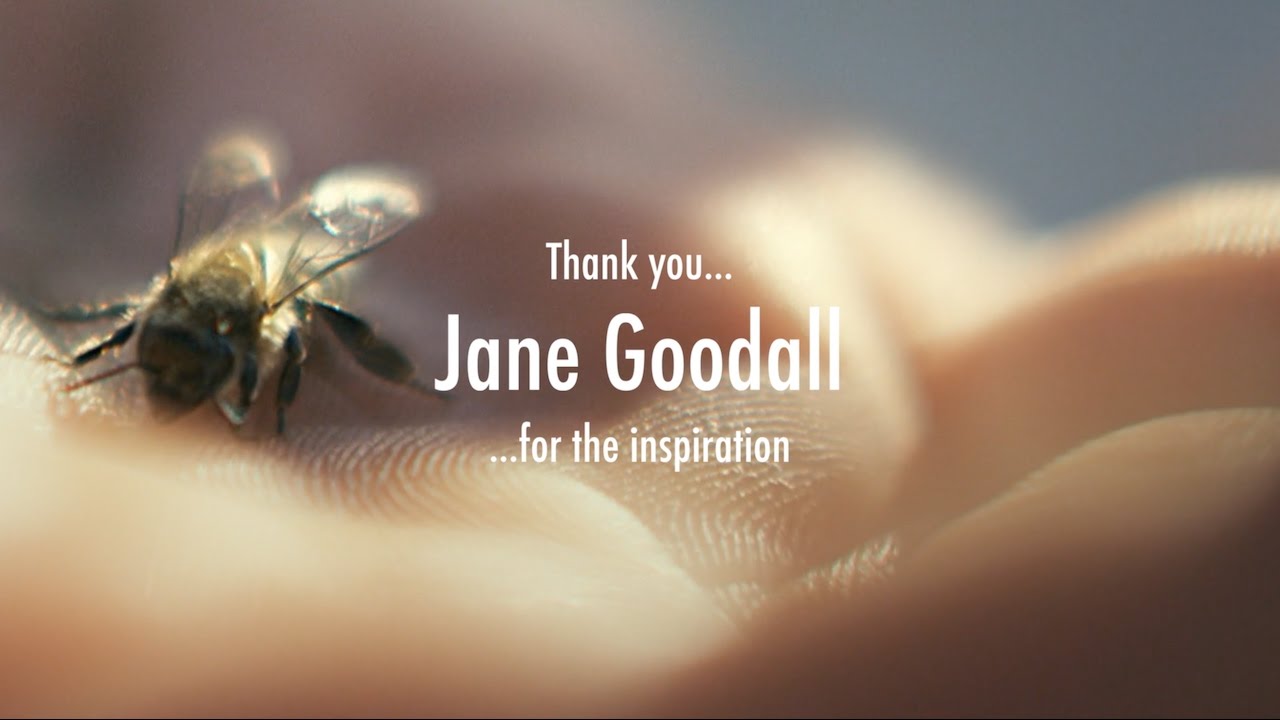 JANE GOODALL - Mother Earth