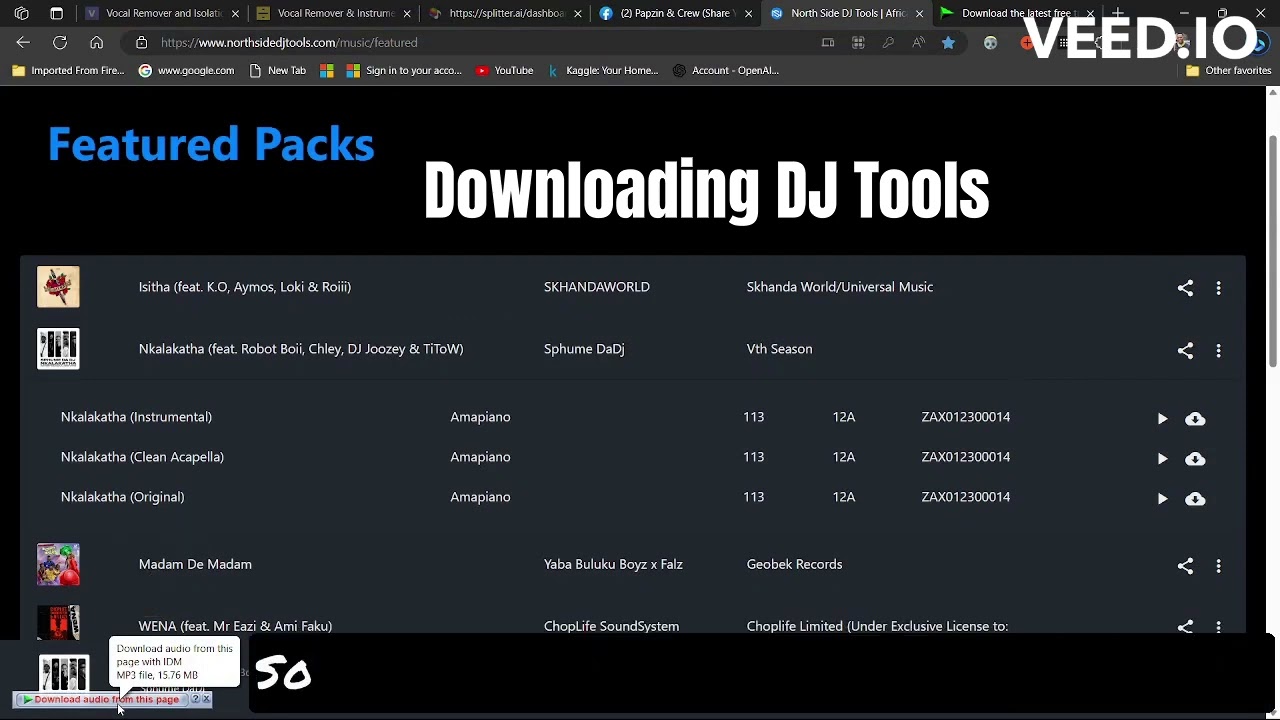 Get DJ Tools For Free #DJTools #Acapellas #Reprises #DJPapzin #Mega-Mixes #Amapiano #DIYTools